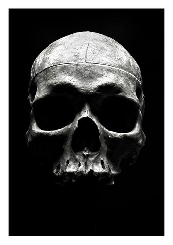 Skull Art Print Limited Edition
