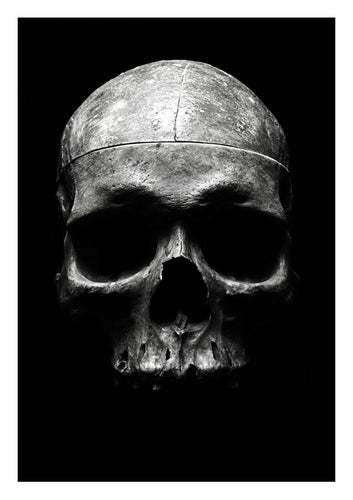 Skull Photograph Limited Edition