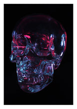 Load image into Gallery viewer, Skull Art Print
