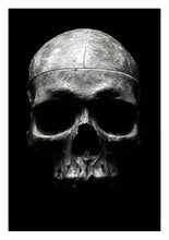 Load image into Gallery viewer, Skull Photograph Limited Edition
